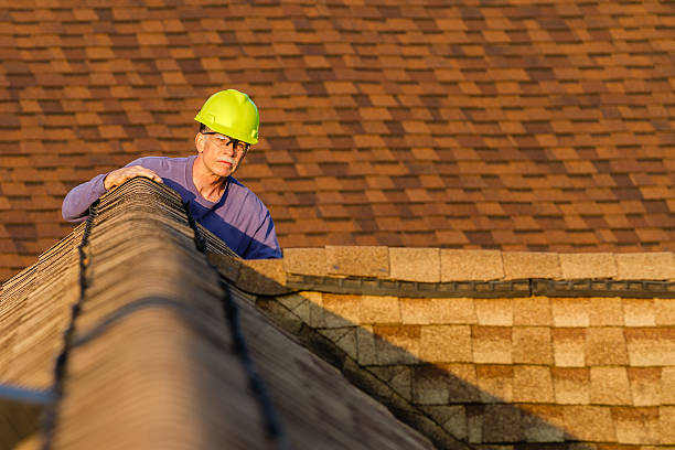 Best Roof Repair Services  in Melody Hill, IN